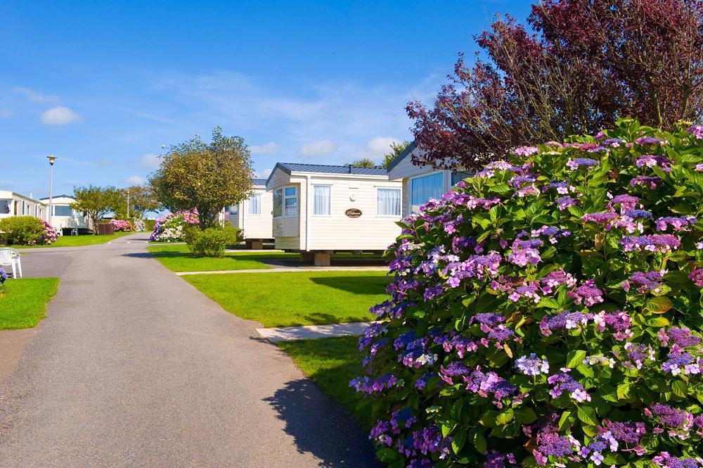 Wooda Farm Holidays Bude Habitación foto